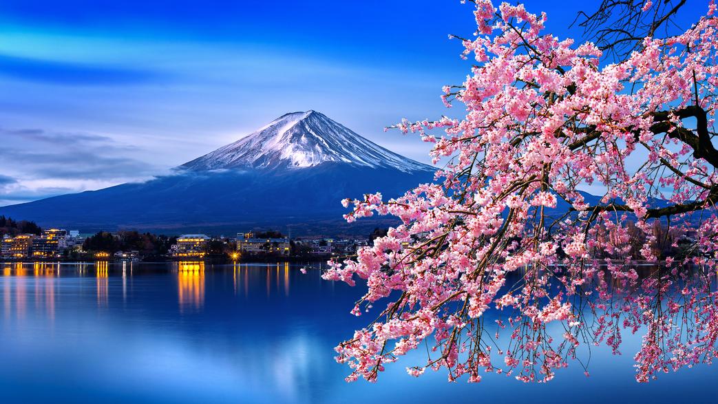 1D Mt Fuji & Hakone Full Day Tour